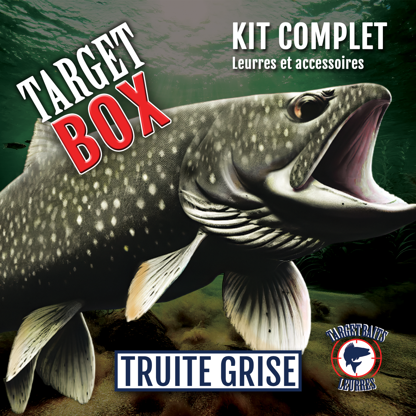 TARGET BOX - TRUITE GRISE